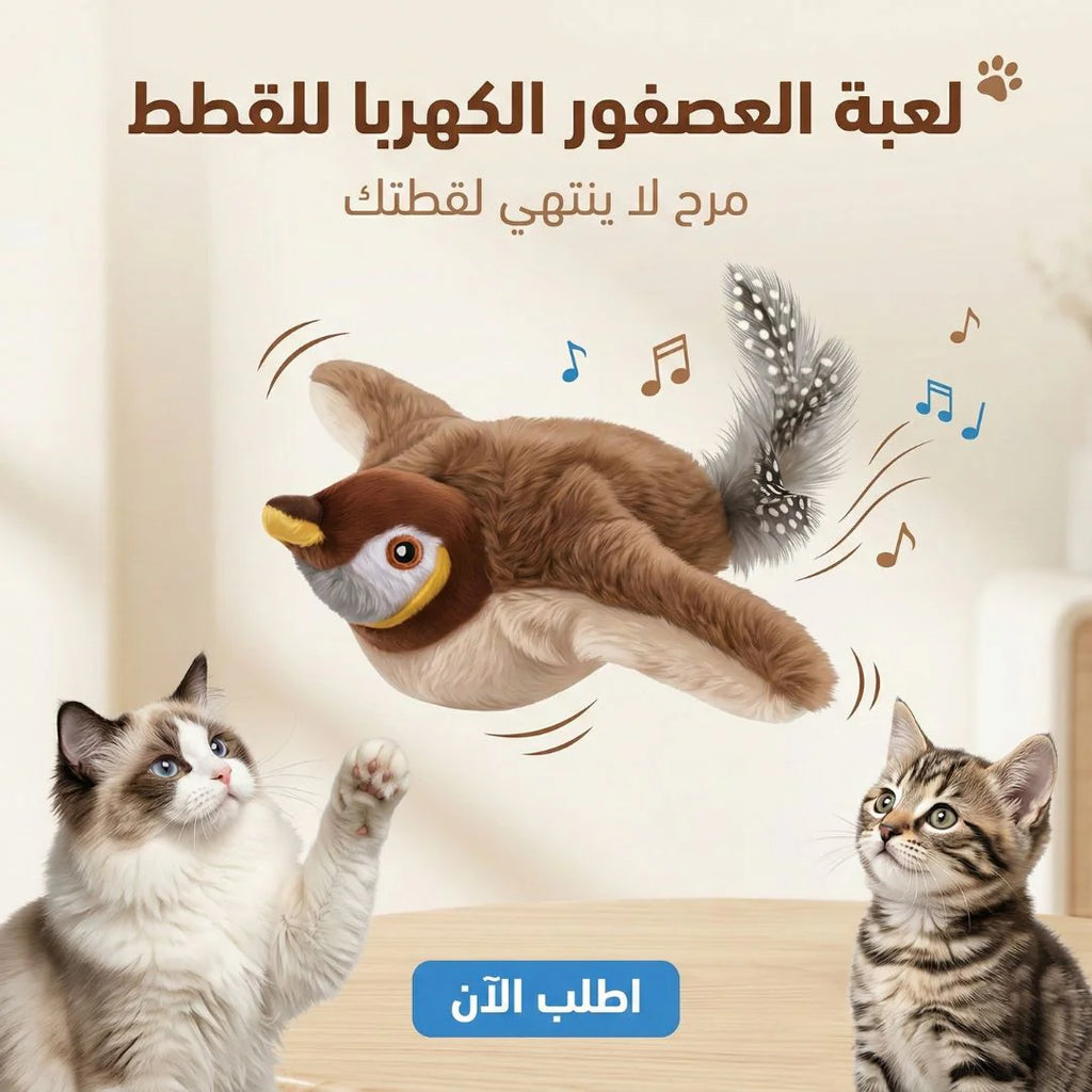 عصفور طائر للقطط والحيوانات الأليفة